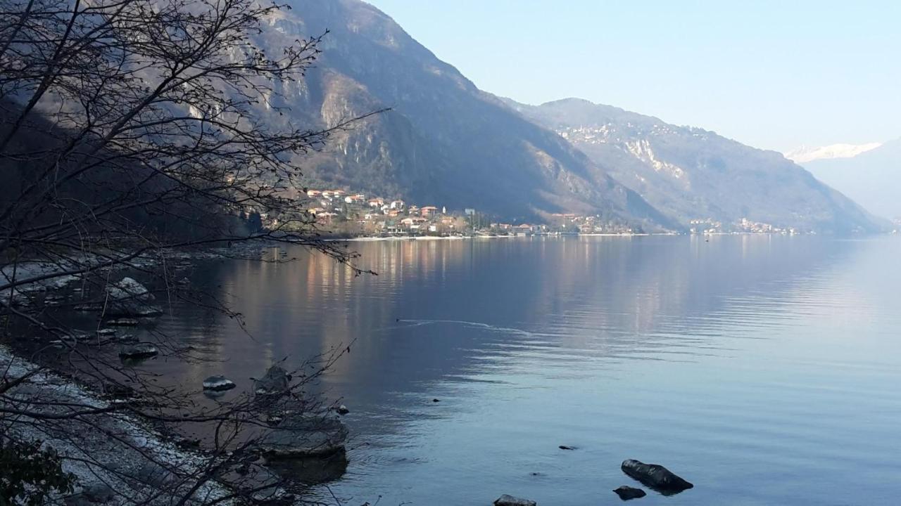New Eleven Apartment On Como Lake Oliveto Lario Exterior photo